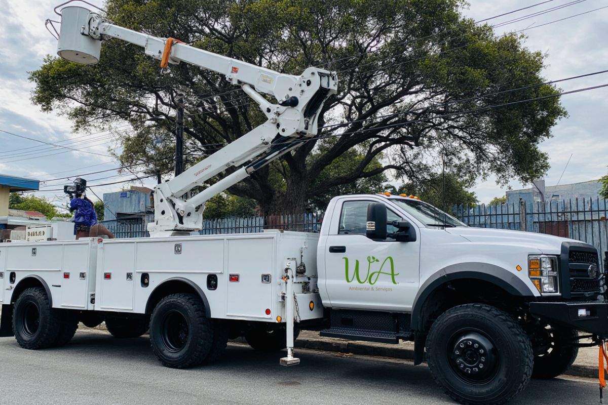 W.A Ambiental – Poda de Árvore com Caminhão Cesto Aéreo em São Paulo