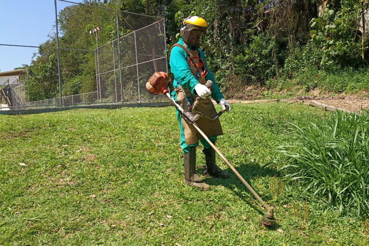 W.A Ambiental – Serviço de Roçagem e Limpeza de Terreno em São Paulo